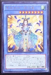 霊魂鳥神-姫孔雀