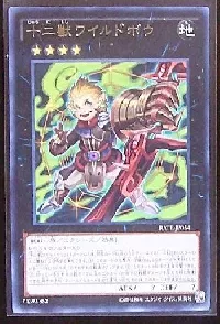 Zoodiac Boarbow