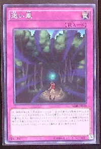 Lost Wind