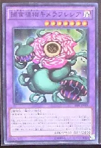 捕食植物キメラフレシア
