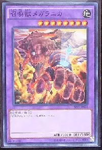 Invoked Magellanica