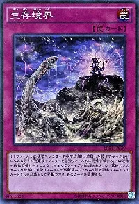 生存境界