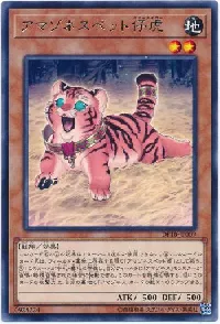 Amazoness Baby Tiger