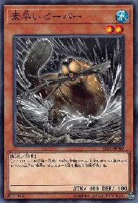Nimble Beaver