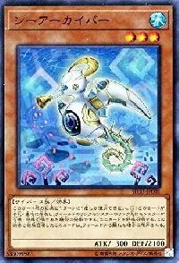 Sea Archiver