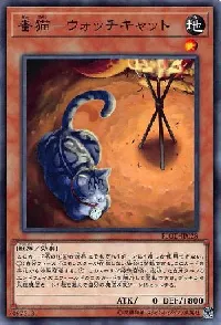 Watch Cat