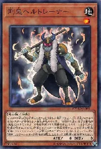 Gouki Ringtrainer