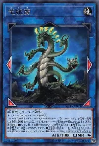 Agave Dragon