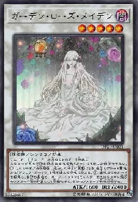 Garden Rose Maiden