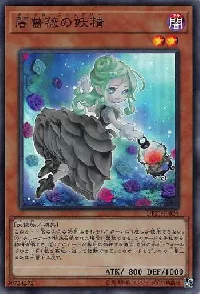 Dark Rose Fairy