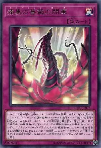 Blooming of the Darkest Rose