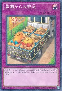 農園からの配送