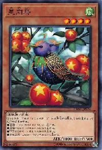 星向鳥