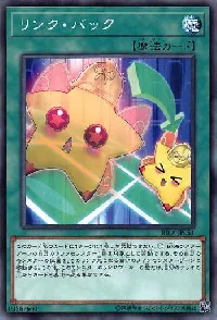 Link Back