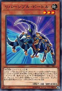 Reversible Beetle