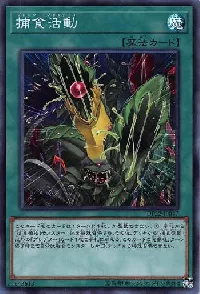 Predapractice
