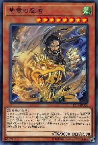 黄竜の忍者