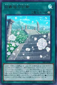 White Rose Cloister