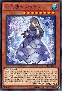 Hellebore the Rikka Fairy