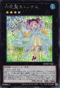 Rikka Queen Strenna