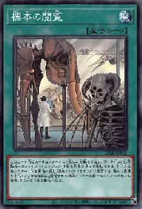 Specimen Inspection