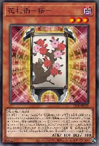花札衛-桜-