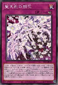 Sunavalon Bloom