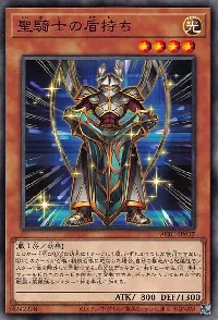 Noble Knight's Shield-Bearer