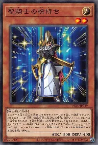 聖騎士の槍持ち