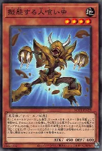 Mimicking Man-Eater Bug