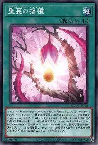 聖蔓の播種