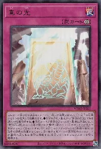 True Light