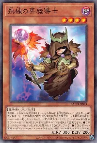 熟練の栗魔導士