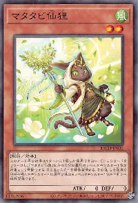 マタタビ仙狸