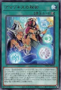 Amazoness Secret Arts