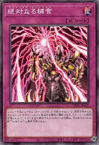 Apex Predation