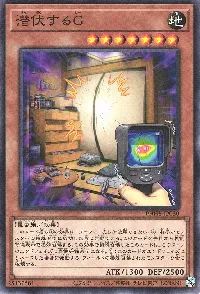 潜伏するG