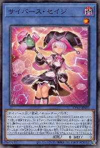 サイバース・セイジ