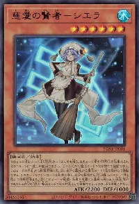 慈愛の賢者-シエラ