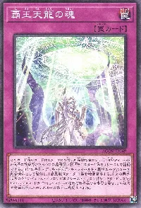 覇王天龍の魂
