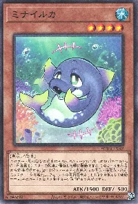 ミナイルカ