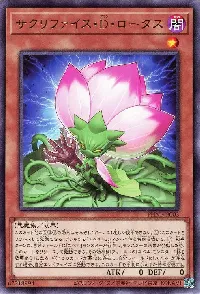✪ Sacrifice D. Lotus