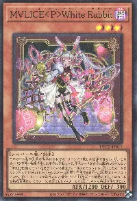 M∀LICE<P>White Rabbit