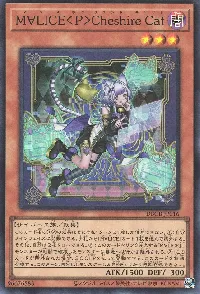 M∀LICE<P>Cheshire Cat