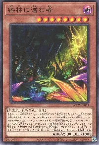 密林に潜む者