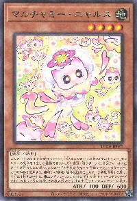 マルチャミー・ニャルス