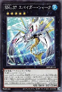 SNo.37 スパイダー・シャーク