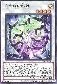 白き森の幻妖