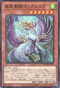 真竜凰騎マリアムネP